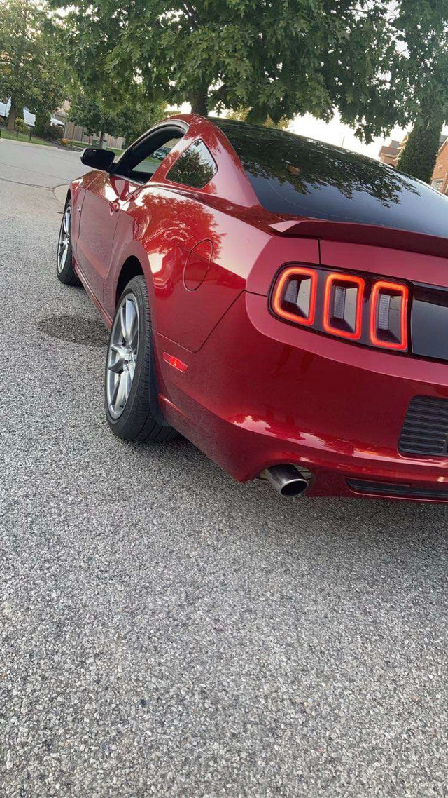 2014 Mustang GT in Cars & Trucks in Trenton - Image 3