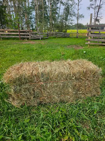 Natural Brome/Timothy Grass - No Fertilizer Square Bales, View more