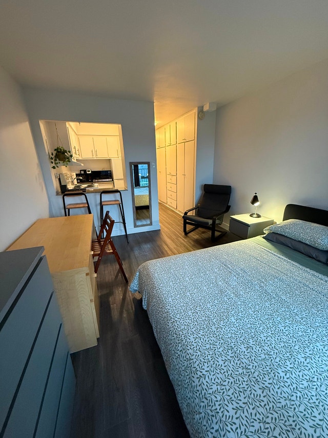 Furnished 1BR/Studio in Mcgill Ghetto (3580 Av. Lorne) — photo 3