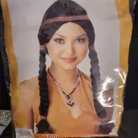 Halloween Costume  Indian Maiden Wig