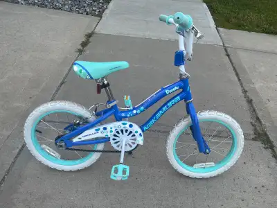16” Nakamura bike, View more