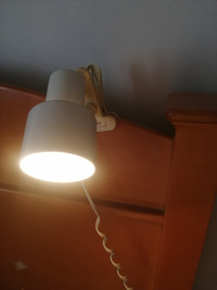 Led Lamp with Clamp