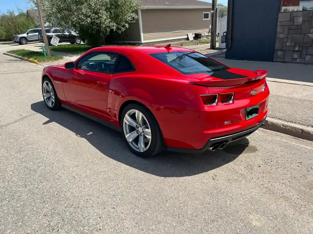 2013 ZL1 Camaro 503571721236008963