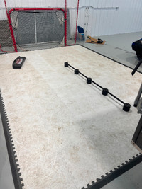Synthetic Home Ice Rink