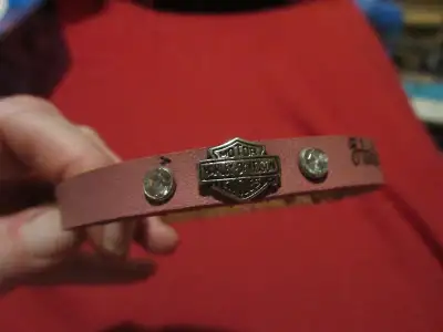 12" HARLEY DAVIDSON ANIMAL COLLAR, View more