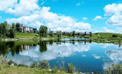 Long Rental for Students in Calgary 学生之家