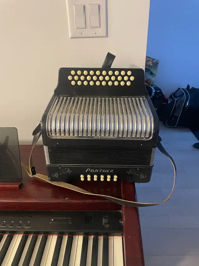 Panther accordion selling for 600 in Pianos & Keyboards in Strathcona County - Image 2