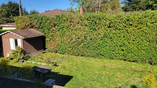 Tree Removal & Yardwork in Patio & Garden Furniture in Oakville / Halton Region - Image 8