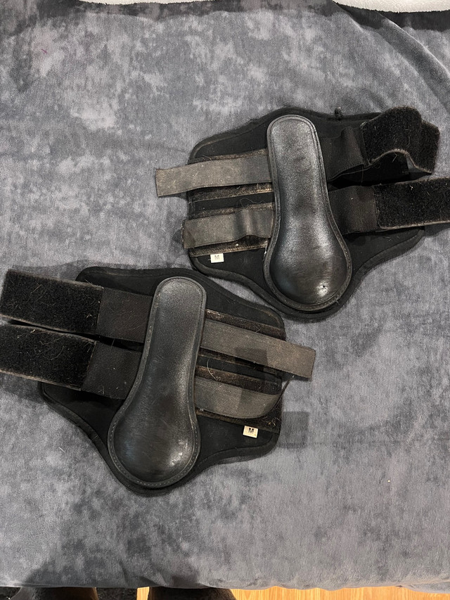 Horse boots in Equestrian & Livestock Accessories in Truro - Image 4