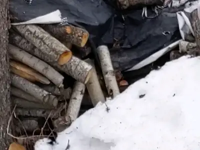 Firewood for sale, View more