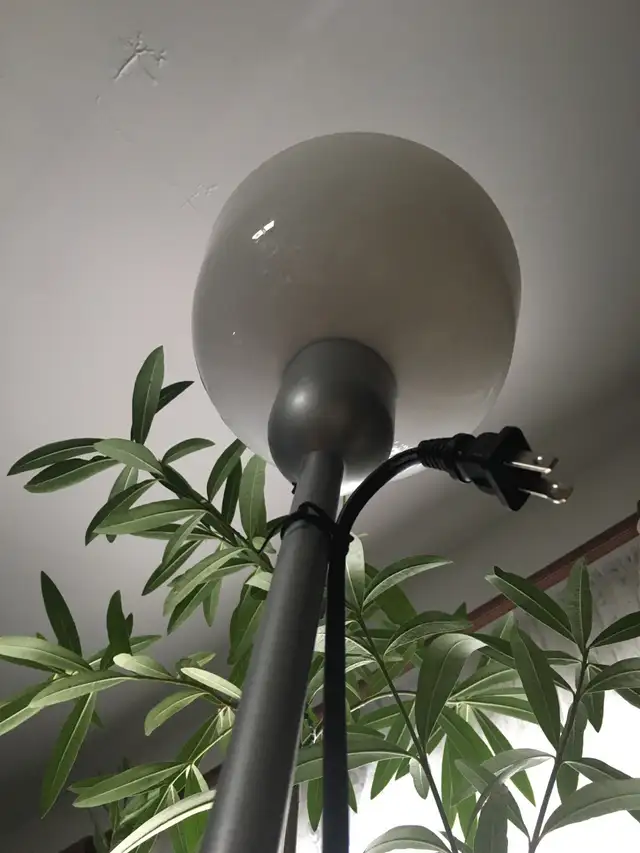Floor lamp in Indoor Lighting & Fans in City of Montréal - Image 5
