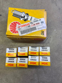 8 - NGB CR9EB-00 Spark Plugs - $25.00