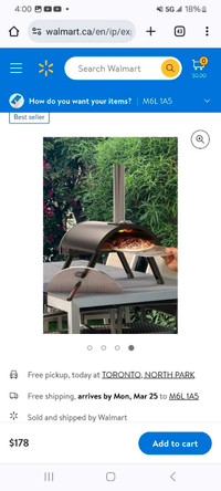 Wood/charcoal pizza oven 