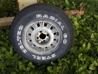 Have for sale 4 Rims from 1986 MERCURY CAPRI . Rims are good shape , tires have great tread but are...