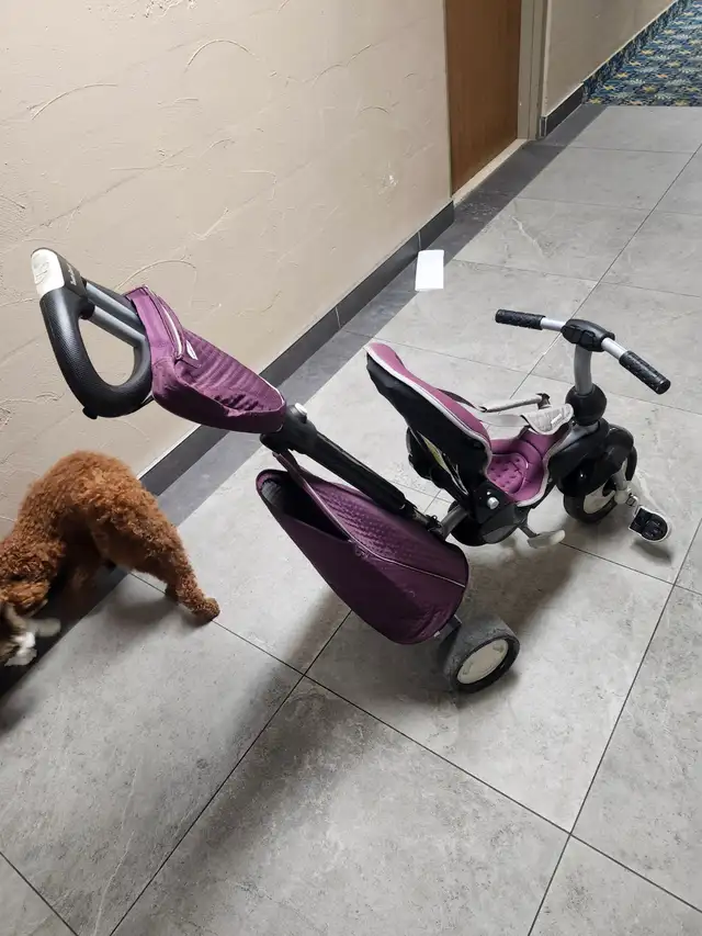 SmarTike kid stroller for sale,asking 50$ in Kids in Windsor Region - Image 4