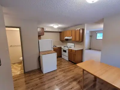 Basement Suite for rent