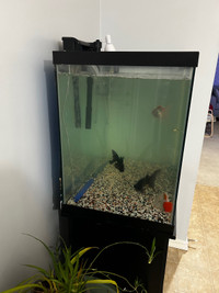 70 gallon fish tank 