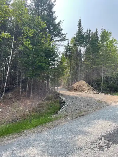 Booking for spring/summer 2026 Charlotte county and surrounding areas 2.5t excavator and operator Pl...