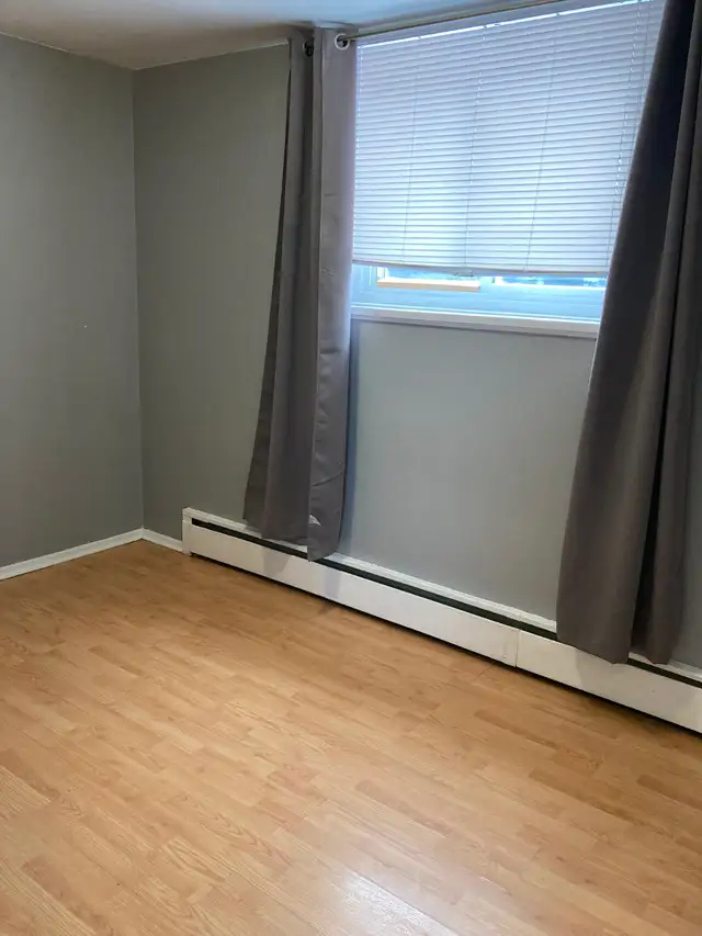 Room for rent in two bedroom apartment in Room Rentals & Roommates in Kitchener / Waterloo - Image 4