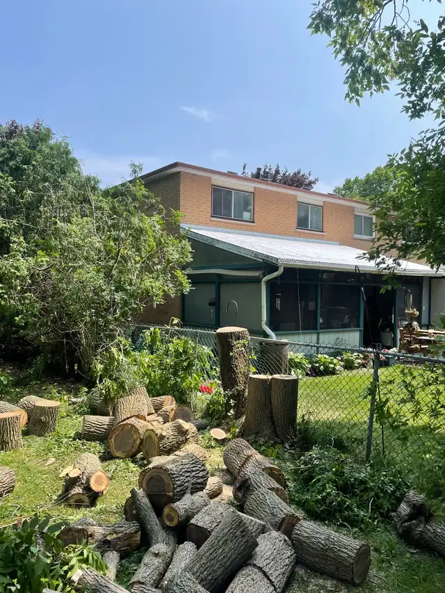 AFFORDABLE TREE SERVICE62864741928067123