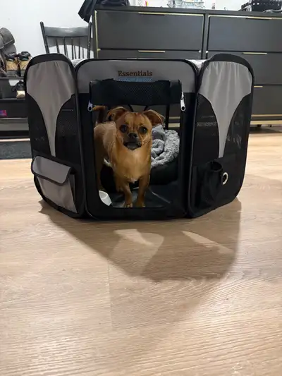 dog playpen, View more