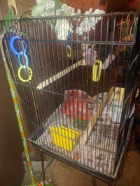  Large birds cage with accessories for sale