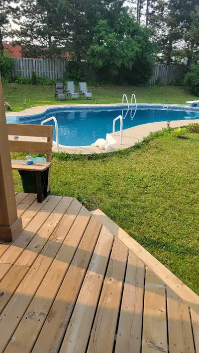 Beautiful, Spacious 1-bedroom + den basement apartment with Separate Entrance for rent. Located in h...
