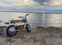 Little fun e-moped/ebike  by Razor 