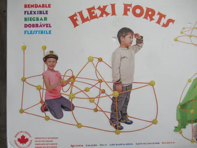 Flexi Forts BENDABLE Rods, Crazy Forts: 69 Pieces SET COMPLETE63234912346883123