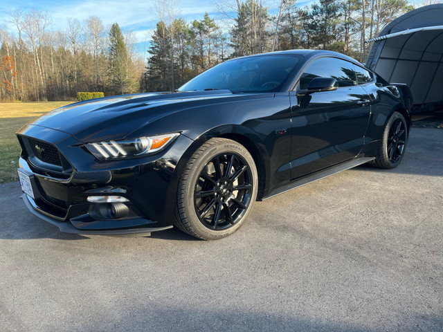 2016 Ford Mustang GT  in Cars & Trucks in Belleville - Image 2