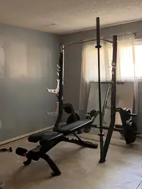 Black Squat Rack Set complete with Weights and Black Olympic Bar