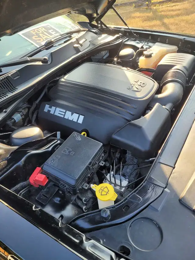 2016 Dodge Challenger RT518967496656834569