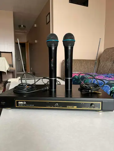 Gold wireless Microphone professional UFF for Karaoke, View more