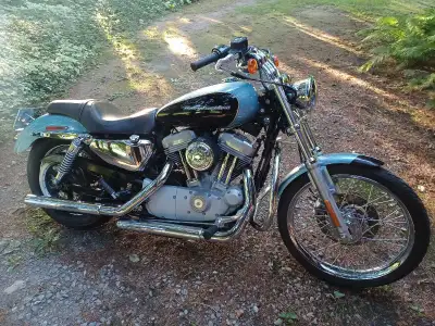 Sportster 883 Custom. Profile spoke wheels. Willie G air cleaner, Crashguard, LED taillight with int...