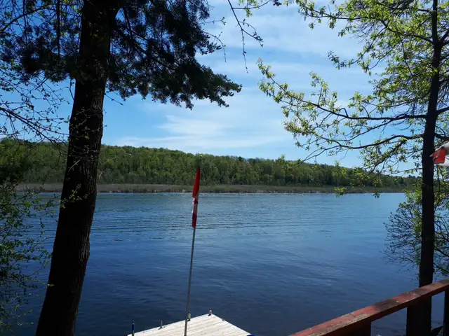 Comfort on the Trent in Ontario in Canada - Image 19