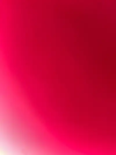 looking for feeder Discoid Roaches , View more