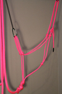 Pink rope halter with matching lead rope