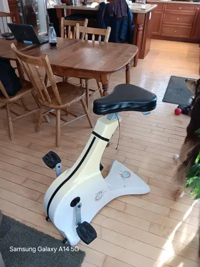 Cycle Tone - Hands free fitness bike, View more