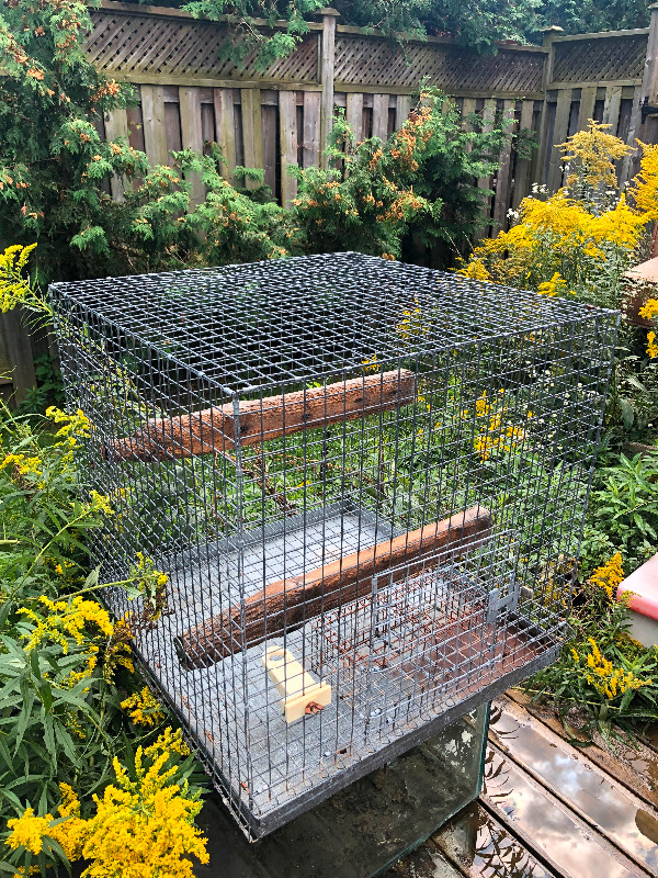 Bird cage in Accessories in Kitchener / Waterloo - Image 3