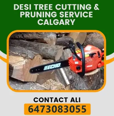 Desi Tree Cutting & Pruning Service Calgary62864356913411123