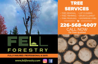 Tree services 
