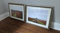 Set of 2 light gold picture frames with matting.