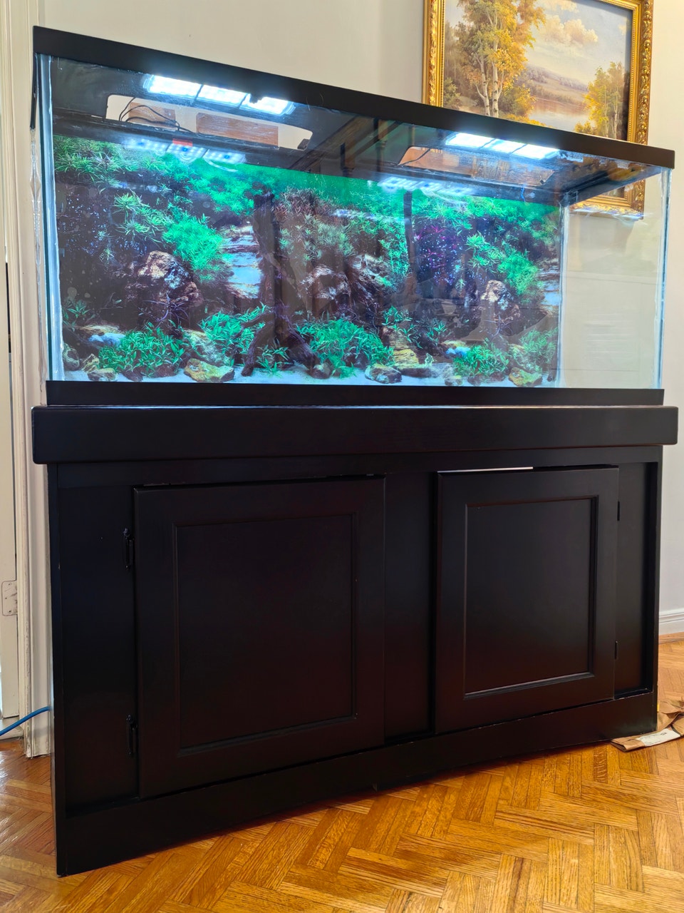 55 Gallon Aquarium Fish Tank with Stand and Heater | Accessories ...