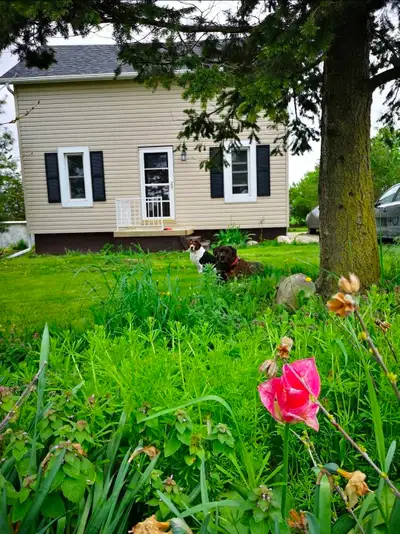 **COUNTRY LIVING JUST GOT EVEN MORE AFFORDABLE!** ✨ **NOW $324,900 — PRICE JUST REDUCED $25,000!** ✨...