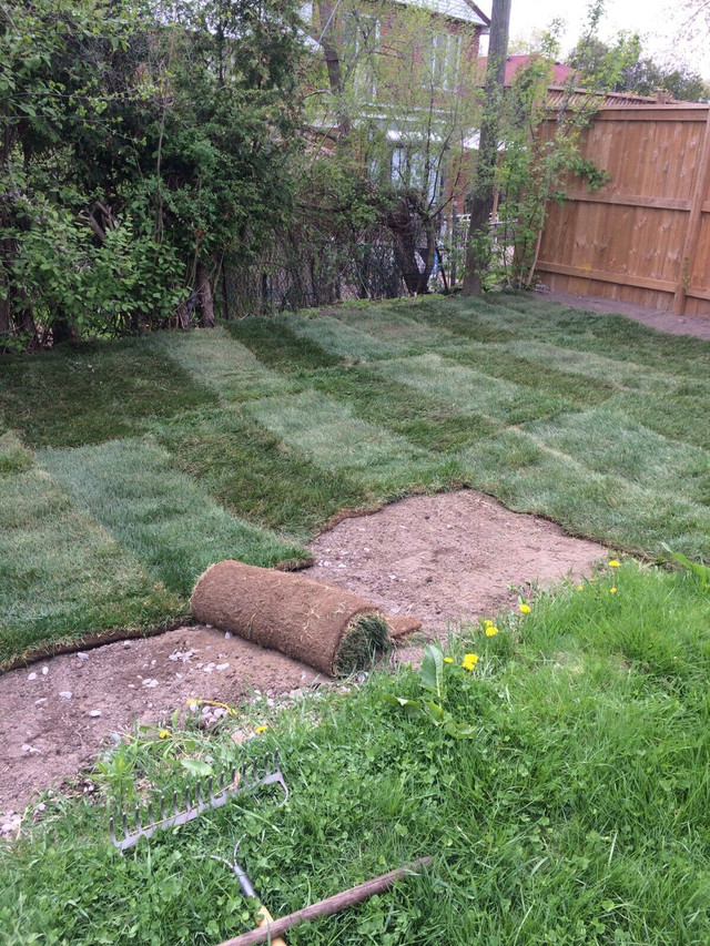 yard work & Landscape STONE WORK /SOD. TOP.  SOIL. DELIVERY o in Other in City of Toronto - Image 3
