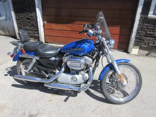 2008 Harley-Davidson Sportster 883 XL Custom in Street, Cruisers & Choppers in Trenton - Image 2