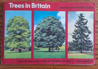 1966 50 Full Set Brooke Bond Teacards " Trees in Britain " , View more