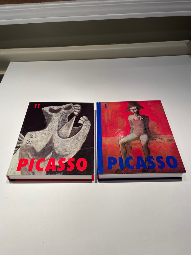 *NEW* Vintage PICASSO - Set of Two Books In Hard Slipcover in Other in Ottawa - Image 3