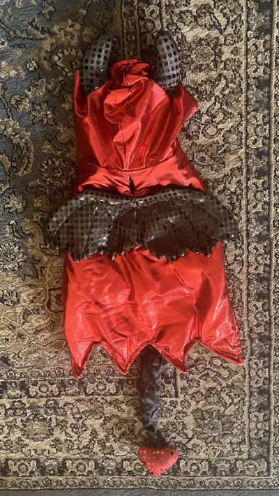 Halloween Dog Costume , View more