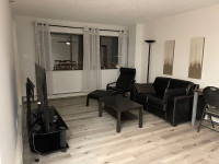 2 Bedroom Furnished Downtown Condo